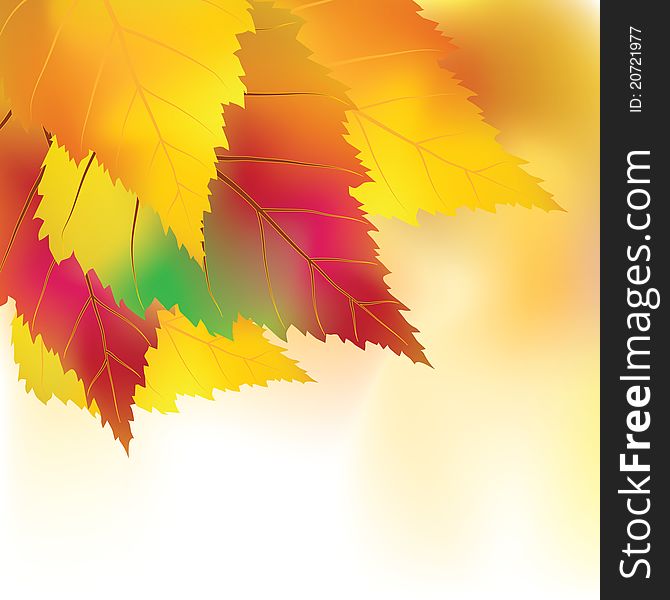 Colorful autumn background. Vector illustration