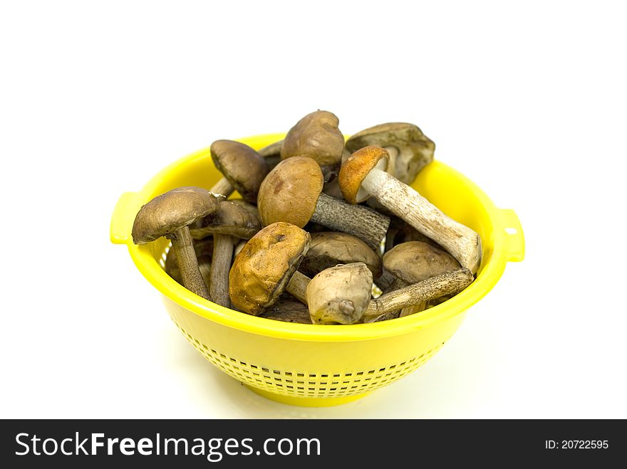 Fresh mushrooms in the yellow bowl on white background