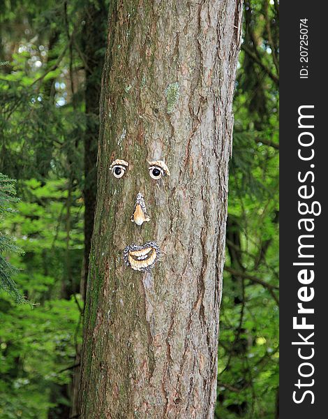 Face carved into a tree. Face carved into a tree