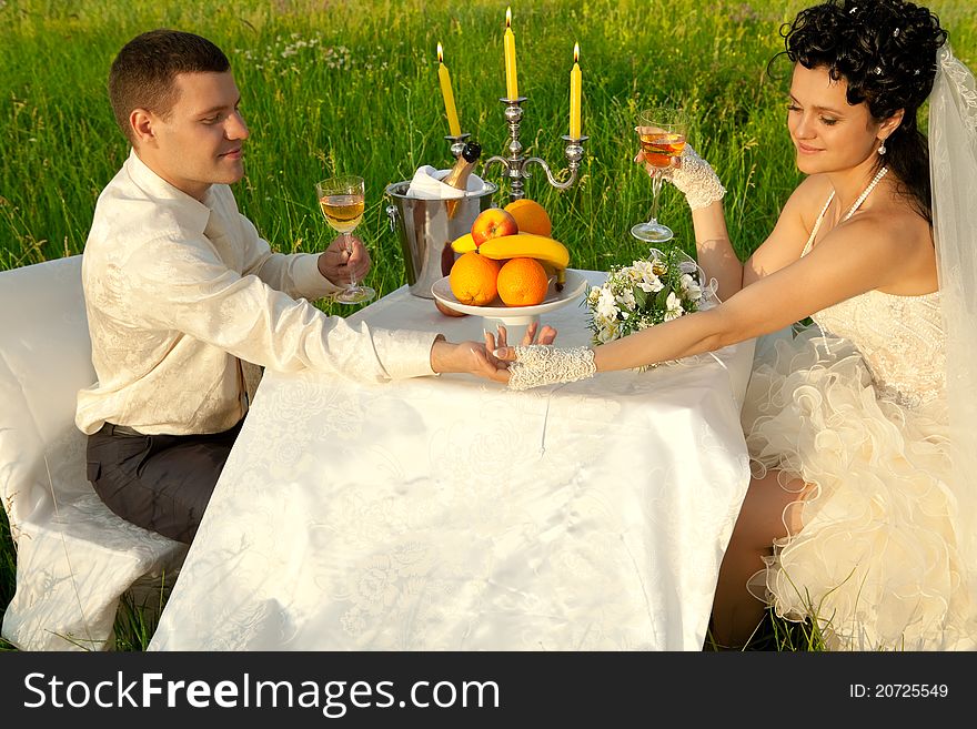 Bride and groom at wedding table on the field. Bride and groom at wedding table on the field