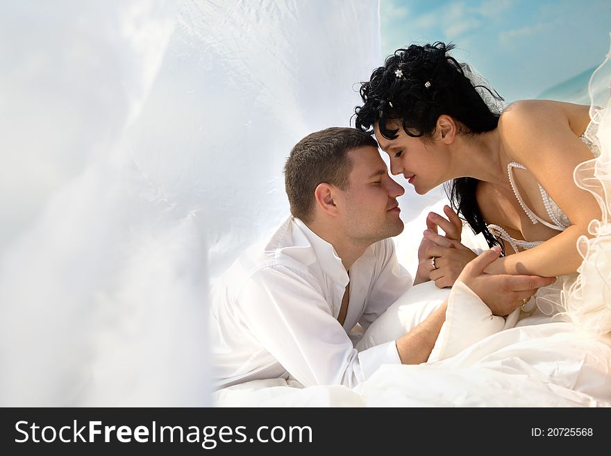 Wedding shot of sexy passion between bride and groom