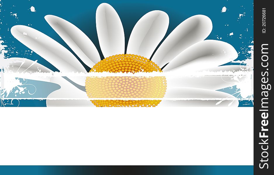 Flower design theme, daisy background or banner
