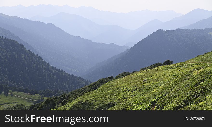 Panorama of mountains edges with grazing cow on foregroound