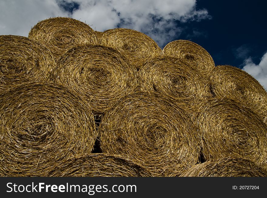 Bales of hay stacked in a field. Bales of hay stacked in a field