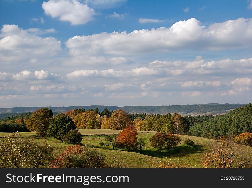 Landscape with trees and beautiful colored leaves. Landscape with trees and beautiful colored leaves