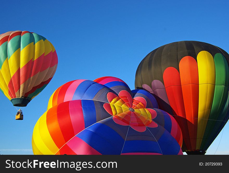 Bright colorful hot air balloons