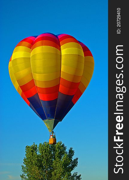 Bright colorful hot air balloon in a tree. Bright colorful hot air balloon in a tree