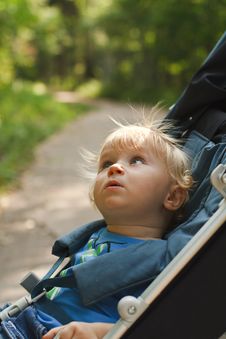Curious Baby In Pram Stock Photo Curious Baby In Pram Stock Photo