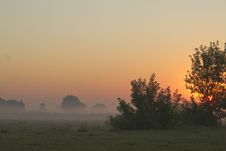 Morning Meadow Royalty Free Stock Photography Morning Meadow Royalty Free Stock Photography