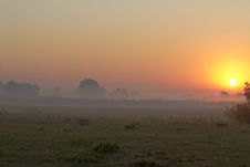 Morning Meadow Royalty Free Stock Image Morning Meadow Royalty Free Stock Image