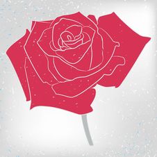 Vector Rose Card Royalty Free Stock Photography Vector Rose Card Royalty Free Stock Photography
