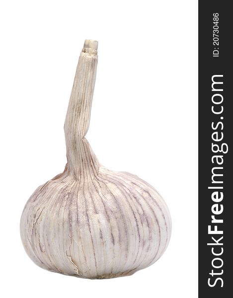 Single Garlic in white background