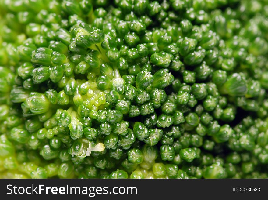 Broccoli flower macro, shallow DOF