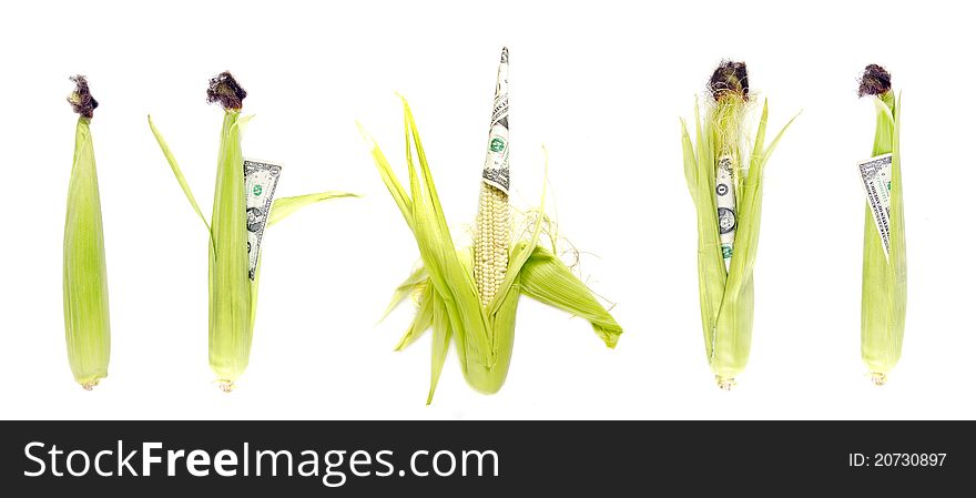 Variations of immature ear of corn and one dollar usa banknote on white background. Variations of immature ear of corn and one dollar usa banknote on white background.