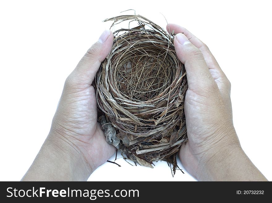 Two hand hold an old nest on white background. Two hand hold an old nest on white background.