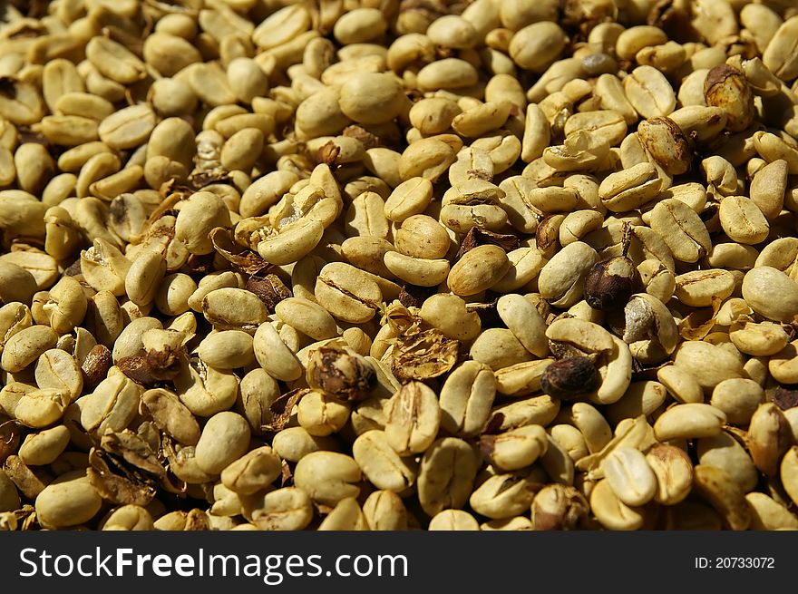 Coffee beans after harvest dried on the sun. Coffee beans after harvest dried on the sun