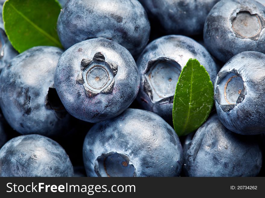 Blueberries With Leaves