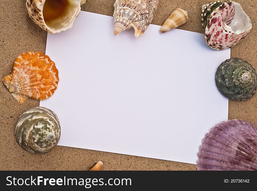 White blank note on a beach with sea shells. White blank note on a beach with sea shells