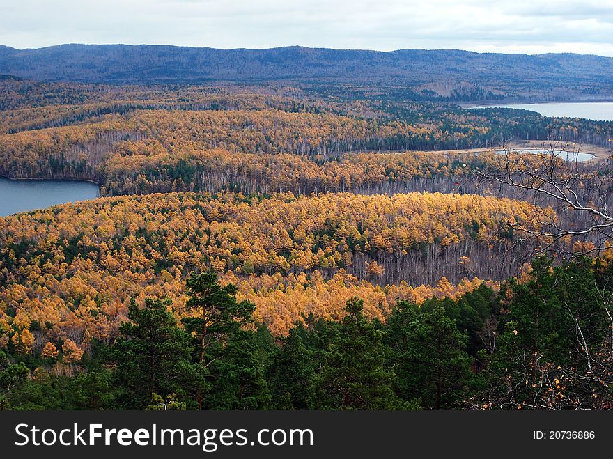 Boreal coniferous forest, Ural, Russia. Boreal coniferous forest, Ural, Russia