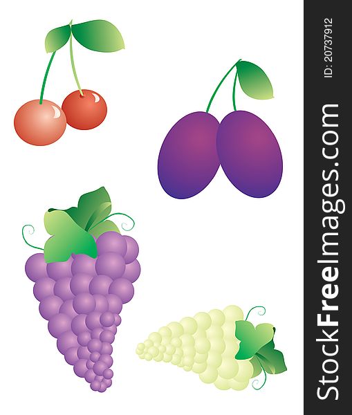 A vector illustration of pair of cherries, plums and grapes. A vector illustration of pair of cherries, plums and grapes