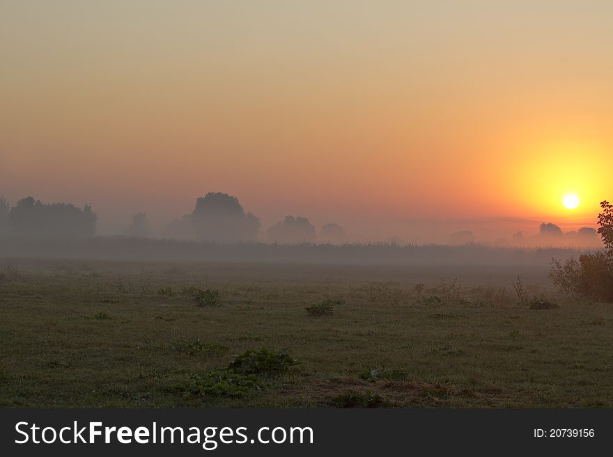 Dawn on a meadow in the mist. Dawn on a meadow in the mist