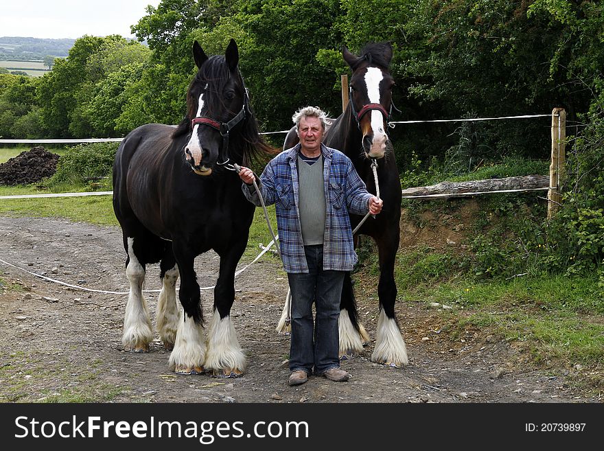 Devonshire Farmer with his two trusted steeds. Devonshire Farmer with his two trusted steeds.