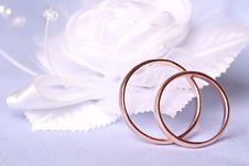 Wedding Rings Stock Images Wedding Rings Stock Images