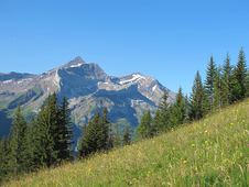 Oldenhorn In The Summer Royalty Free Stock Photos