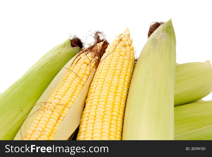 Maize on a white background