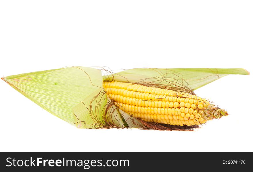 Fresh corn on a white background