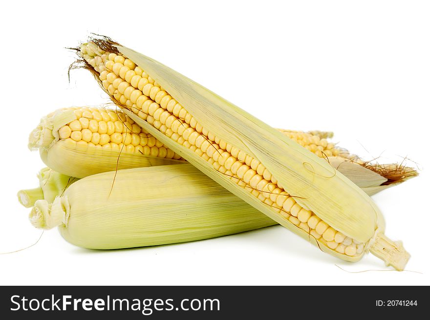 Fresh corn on a white background