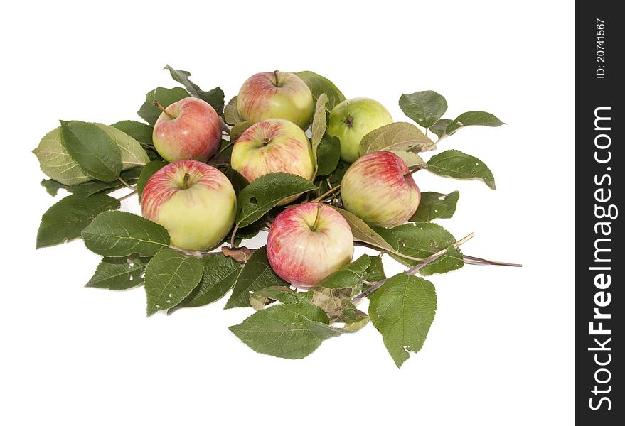 The heap of apples lays on green leaves. The heap of apples lays on green leaves