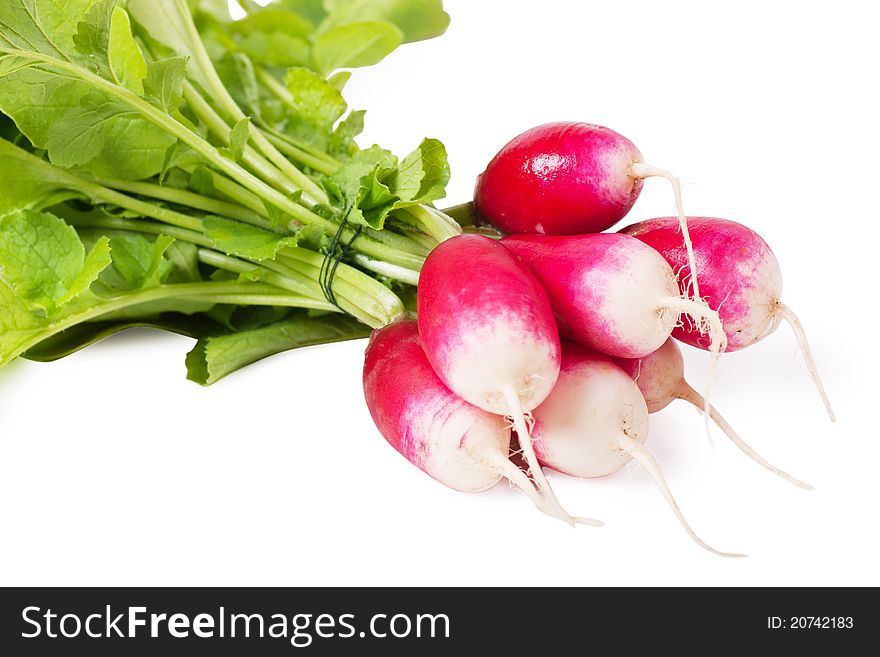 A bunch of fresh garden radishes over white background