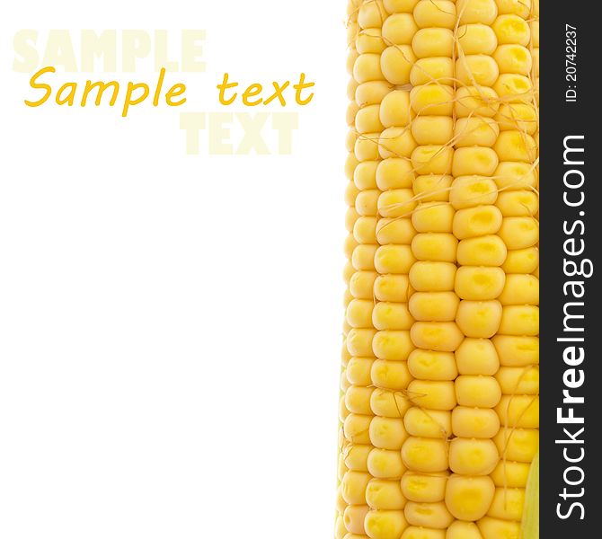 Yellow corn on white (with sample text)