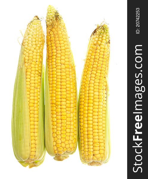 Three yellow corn cob on a white background