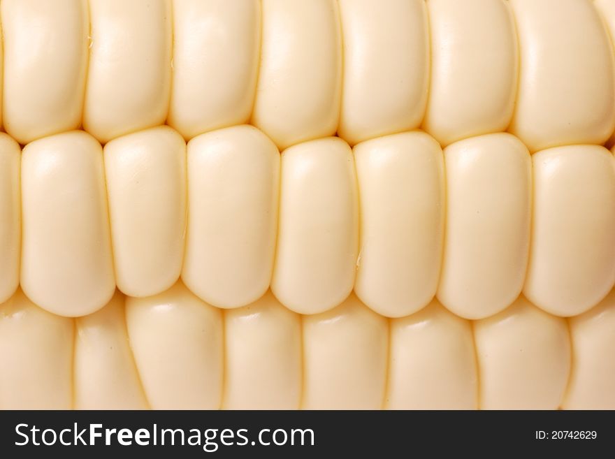 A white corn macro texture