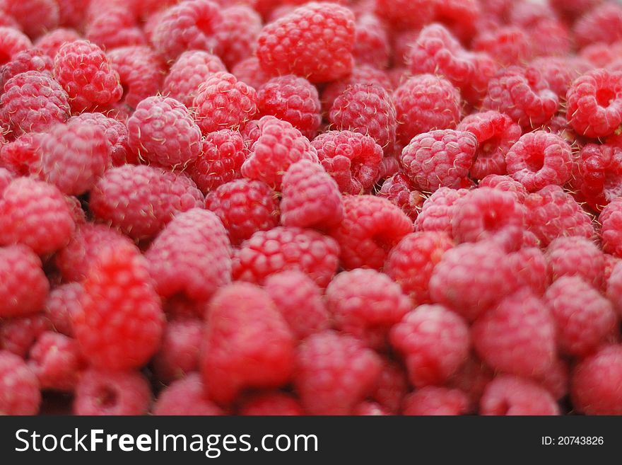 Raspberry; a lot of berries;background