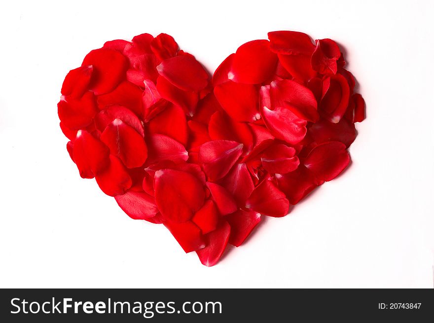 Rose petals heart isolated on white background