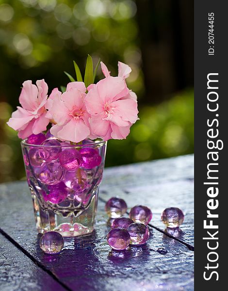 Pink Flowers In The Glass
