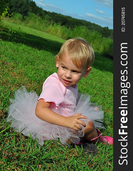 Color photograph of a baby girl in a pink tutu. Color photograph of a baby girl in a pink tutu