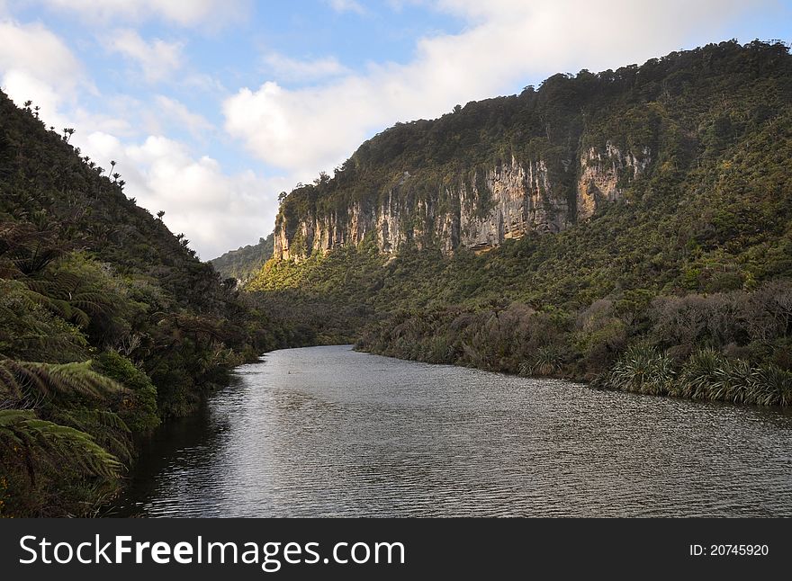 The Pororari River and cliffs on the West Coast of New Zealand in early morning. In the foreground native bush and giant tree ferns cover the hillsides. Punakaiki. The Pororari River and cliffs on the West Coast of New Zealand in early morning. In the foreground native bush and giant tree ferns cover the hillsides. Punakaiki.