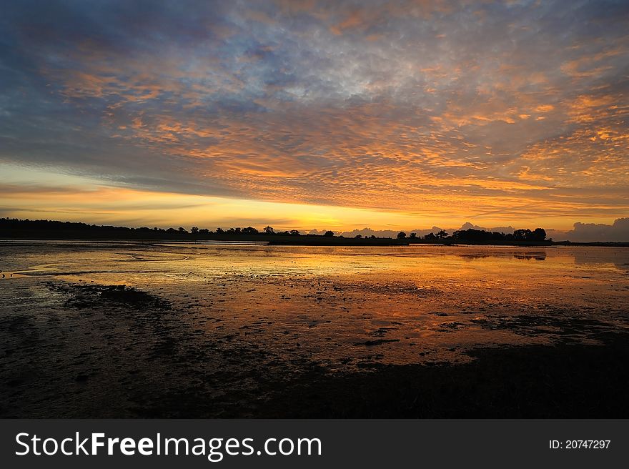 Blythburgh marshes suffolk at dawn
