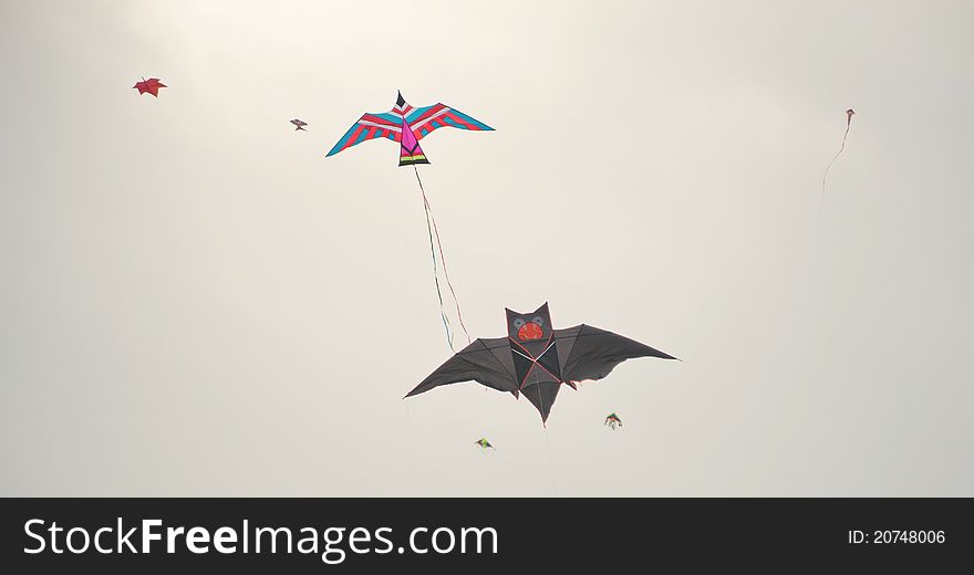 Many different kites in the sky