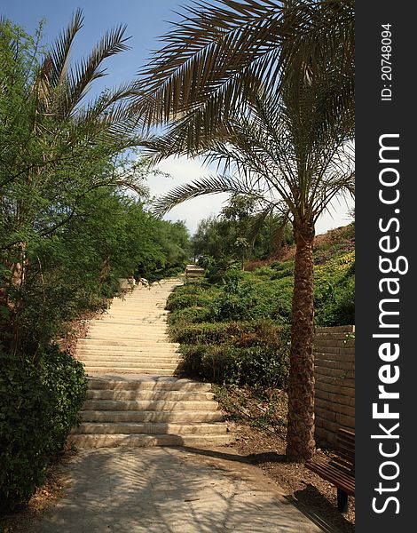 The landscape inside the Azhar park in Cairo Egypt