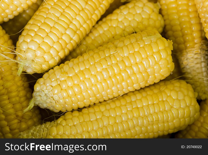 Ears yellow corn by CU
