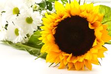 A Bouquet Of Beautiful Flowers Royalty Free Stock Photo A Bouquet Of Beautiful Flowers Royalty Free Stock Photo