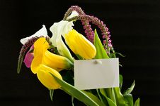 Beautiful Bouquet Of Tulips And Calla Lilies Royalty Free Stock Photo Beautiful Bouquet Of Tulips And Calla Lilies Royalty Free Stock Photo
