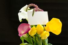 Beautiful Bouquet Of Tulips And Calla Lilies Royalty Free Stock Photos Beautiful Bouquet Of Tulips And Calla Lilies Royalty Free Stock Photos