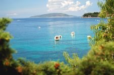 Dalmatian Coast Stock Photo