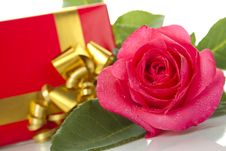 Red Rose, Gift Box Royalty Free Stock Photo Red Rose, Gift Box Royalty Free Stock Photo